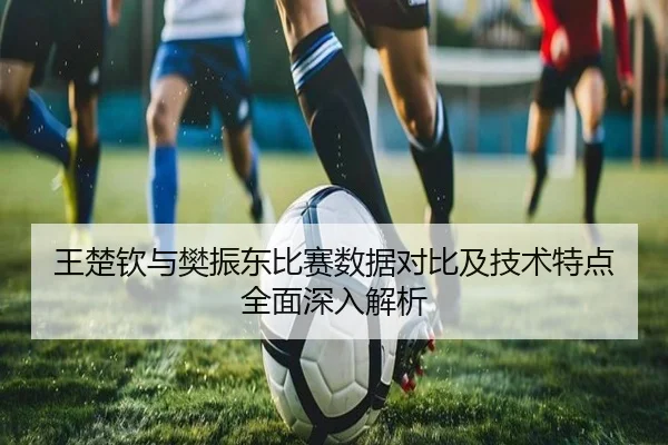 王楚钦与樊振东比赛数据对比及技术特点全面深入解析 - 365 SPORTS
